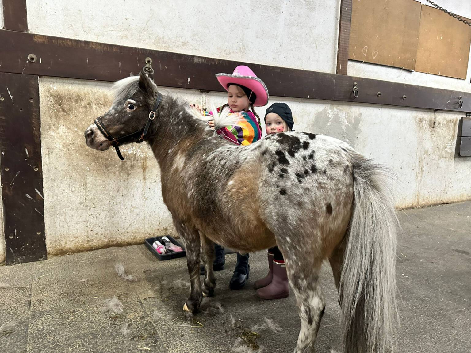 Ereignisse Reitanlage Brunnenfeld